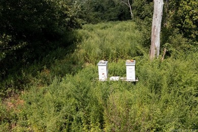 Commercial Property Herb's *Too* is situated on 1.3 acres of