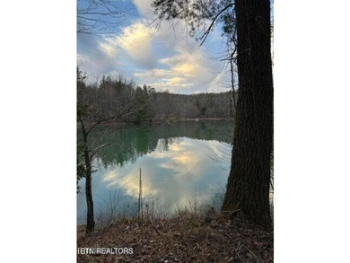 Log home right on a private lake in Grandview, TN. Possibly 3 - photo 7