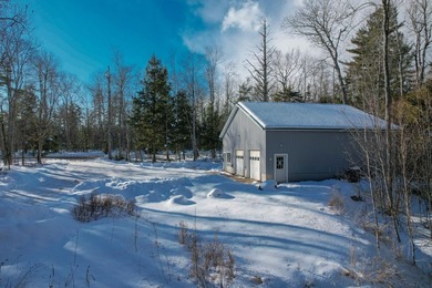 Versatile and well-maintained 1,500 sq. ft. heated garage - photo 3