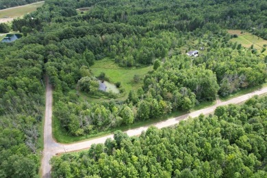 Lake Home For Sale in Branchport, New York