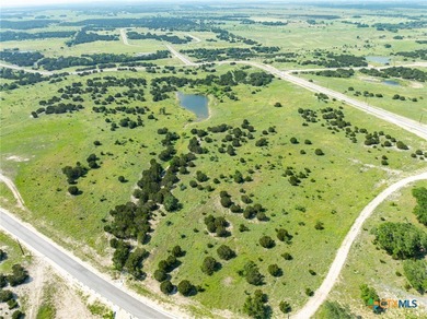 (private lake, pond, creek) Acreage For Sale in Lampasas Texas