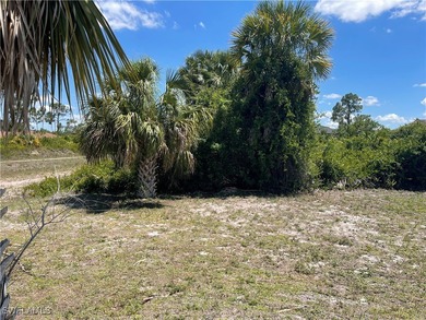 Lehigh Acres Area Lot For Sale in Lehigh Acres Florida