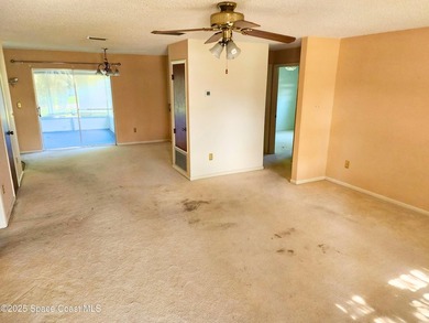 Split plan, large living room, huge screened porch and large - photo 3