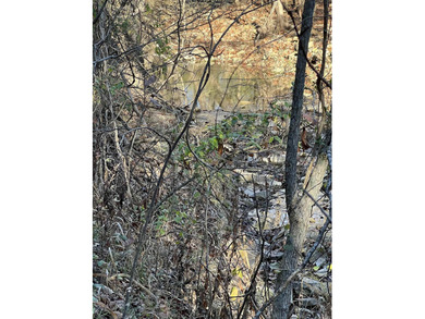 (private lake, pond, creek) Acreage For Sale in Pyatt Arkansas