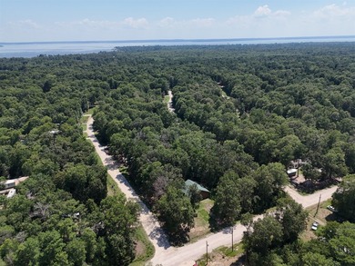 Picture your private retreat on this remarkable quarter-acre - photo 16