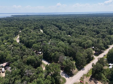 Picture your private retreat on this remarkable quarter-acre - photo 17