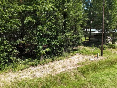 Picture your private retreat on this remarkable quarter-acre - photo 24
