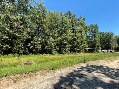 Picture your private retreat on this remarkable quarter-acre - photo 32