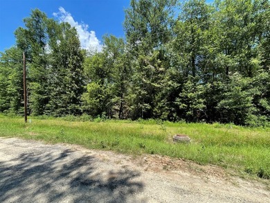 Picture your private retreat on this remarkable quarter-acre - photo 33