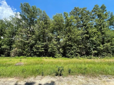 Picture your private retreat on this remarkable quarter-acre - photo 34