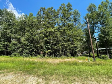 Picture your private retreat on this remarkable quarter-acre - photo 35