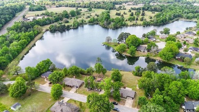 Tucked into one of Mineola's most convenient locations, this - photo 37