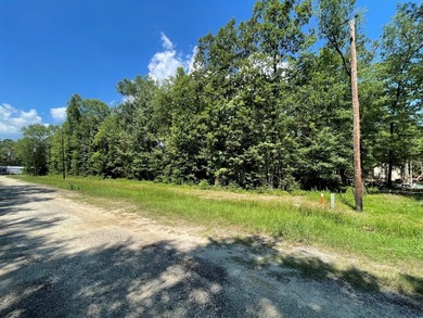Picture your private retreat on this remarkable quarter-acre - photo 37