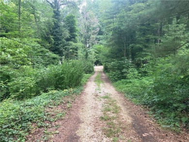 Leesville Lake Lot Sale Pending in Carrollton Ohio