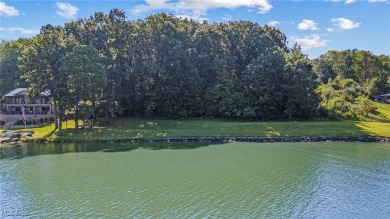 Lake Lot For Sale in Malvern, Ohio