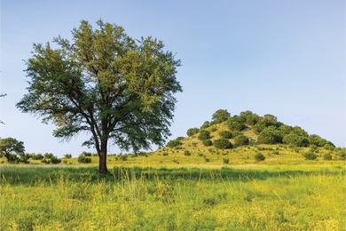 The Aces Ranch is a stunning ~190-acre turnkey Texas ranch with - photo 11