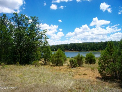 Lake of the Woods Commercial For Sale in Lakeside Arizona