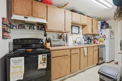 Prime Mixed-Use Opportunity in the Heart of the Village of - photo 28