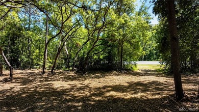 Professionally cleared and ready to build - this 0.61-acre - photo 11