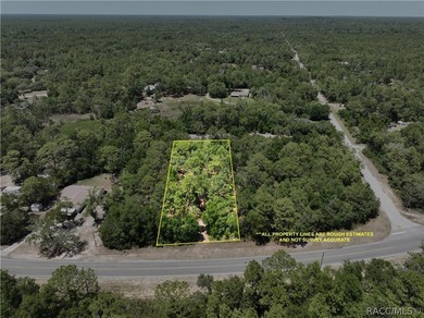 Professionally cleared and ready to build - this 0.61-acre - photo 12