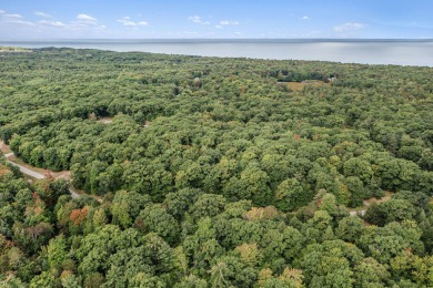 Lake Michigan - Oceana County Lot For Sale in Mears Michigan