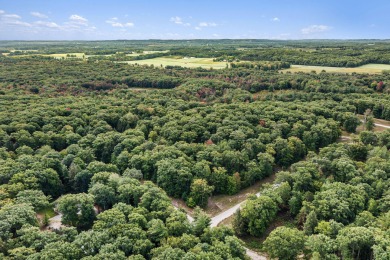 Lake Michigan - Oceana County Lot For Sale in Mears Michigan