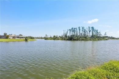 Lake Home For Sale in Sun City Center, Florida