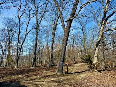 Build your dream country estate with lake views of the 50mm or - photo 11