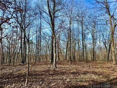 Build your dream country estate with lake views of the 50mm or - photo 14