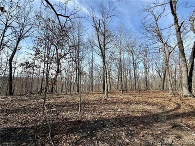 Build your dream country estate with lake views of the 50mm or - photo 15