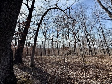 Build your dream country estate with lake views of the 50mm or - photo 16