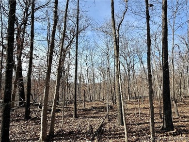 Build your dream country estate with lake views of the 50mm or - photo 18