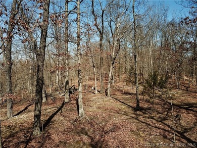 Build your dream country estate with lake views of the 50mm or - photo 20