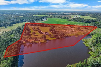(private lake, pond, coastal) Home For Sale in Glennville Georgia