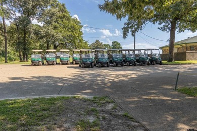 Escape to your own East Texas retreat with this beautifully - photo 36