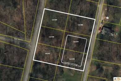Lake Lot For Sale in Scottsville, Tennessee