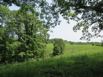 BUY IT ALL OR OWNER WILL CONSIDER SUBDIVIDING! This property - photo 34
