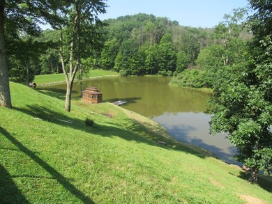 BUY IT ALL OR OWNER WILL CONSIDER SUBDIVIDING! This property - photo 35