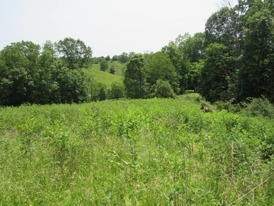 BUY IT ALL OR OWNER WILL CONSIDER SUBDIVIDING! This property - photo 40
