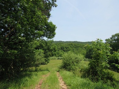 BUY IT ALL OR OWNER WILL CONSIDER SUBDIVIDING! This property - photo 43