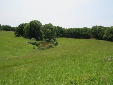BUY IT ALL OR OWNER WILL CONSIDER SUBDIVIDING! This property - photo 45