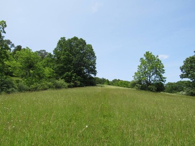 BUY IT ALL OR OWNER WILL CONSIDER SUBDIVIDING! This property - photo 46