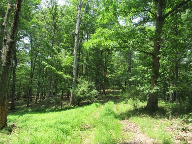 BUY IT ALL OR OWNER WILL CONSIDER SUBDIVIDING! This property - photo 47
