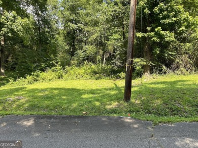Lake Lot For Sale in Conyers, Georgia