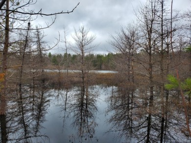 Lake Mary - Vilas County Lot For Sale in Eagle River Wisconsin