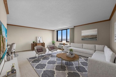 Enjoy the view of all of St. Paul & beyond our your 17th floor - photo 11