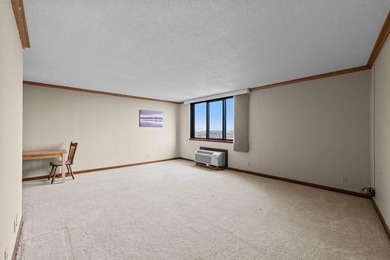 Enjoy the view of all of St. Paul & beyond our your 17th floor - photo 12