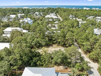 Rare opportunity to own a homesite on one of Gulf Shore Manor's - photo 15