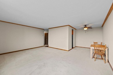 Enjoy the view of all of St. Paul & beyond our your 17th floor - photo 15