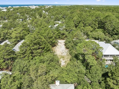 Rare opportunity to own a homesite on one of Gulf Shore Manor's - photo 17